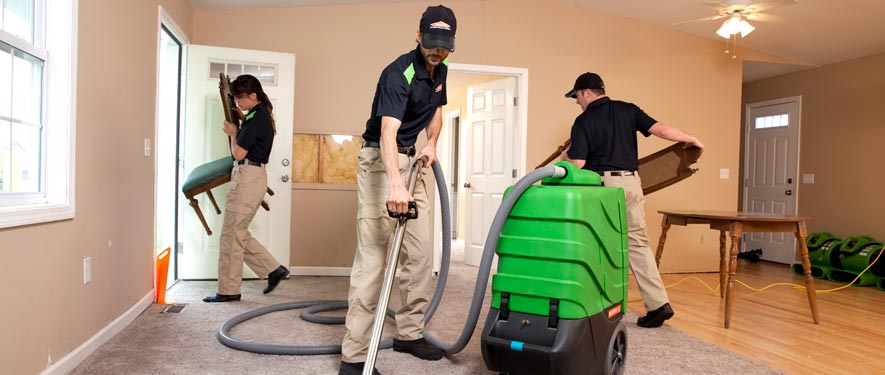 Bellingham, WA cleaning services